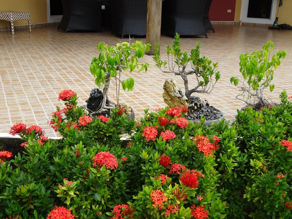 Bohol Sunside Resort Panglao Εξωτερικό φωτογραφία